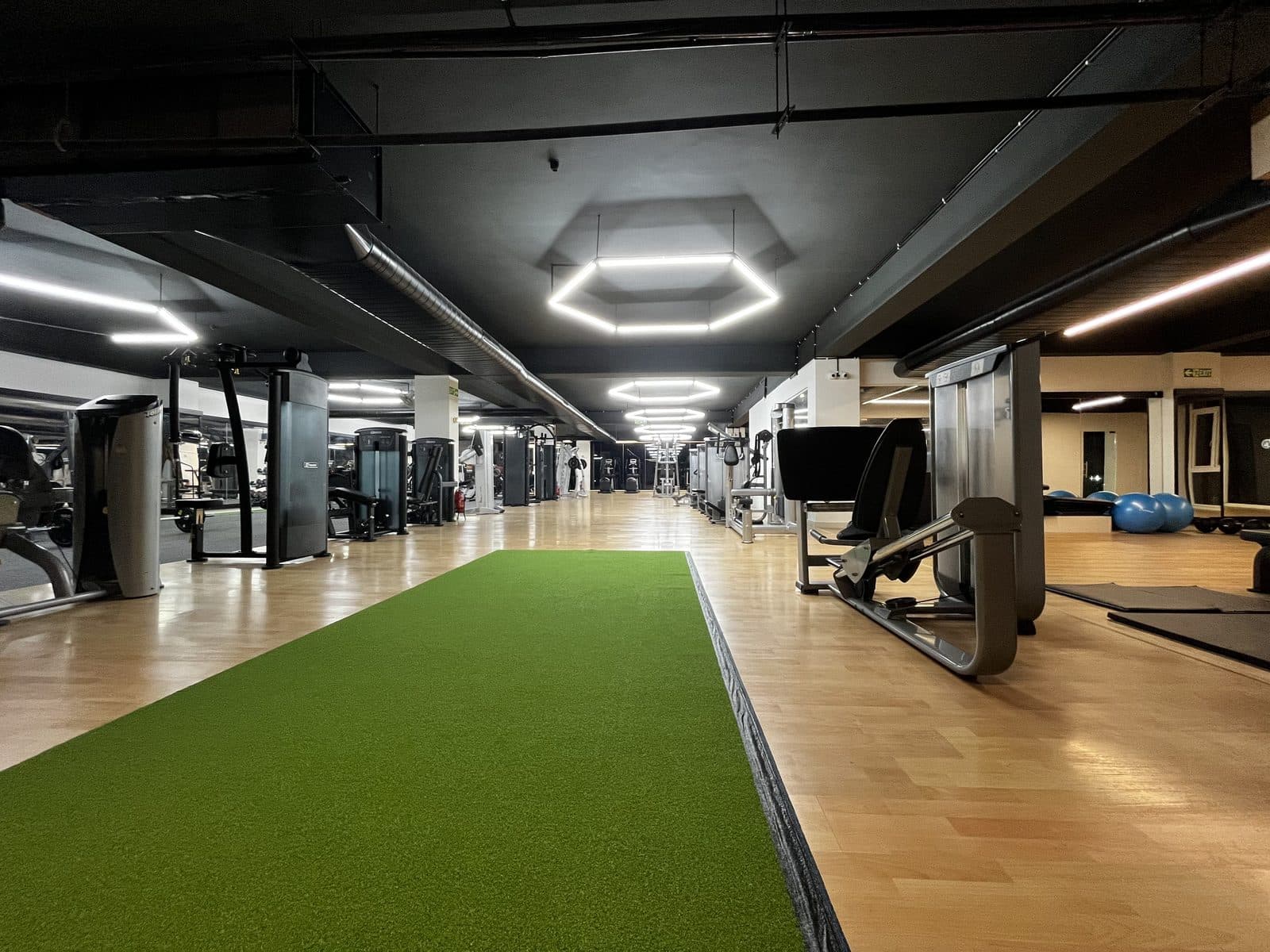 The Turf